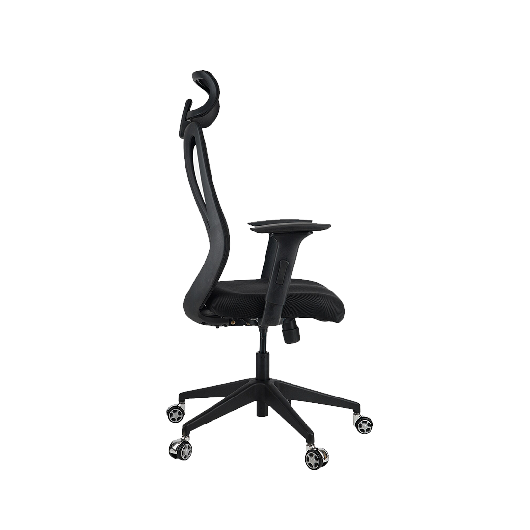 Peacock Breathable Mesh Ergonomic Chair