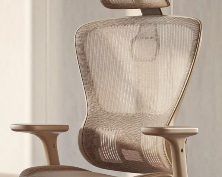 Ergonomics Chairs