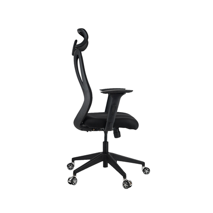 Peacock Breathable Mesh Ergonomic Chair