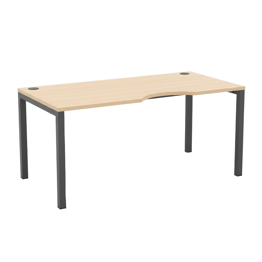 ErgoCurve Workstation