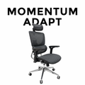 Momentum Adapt