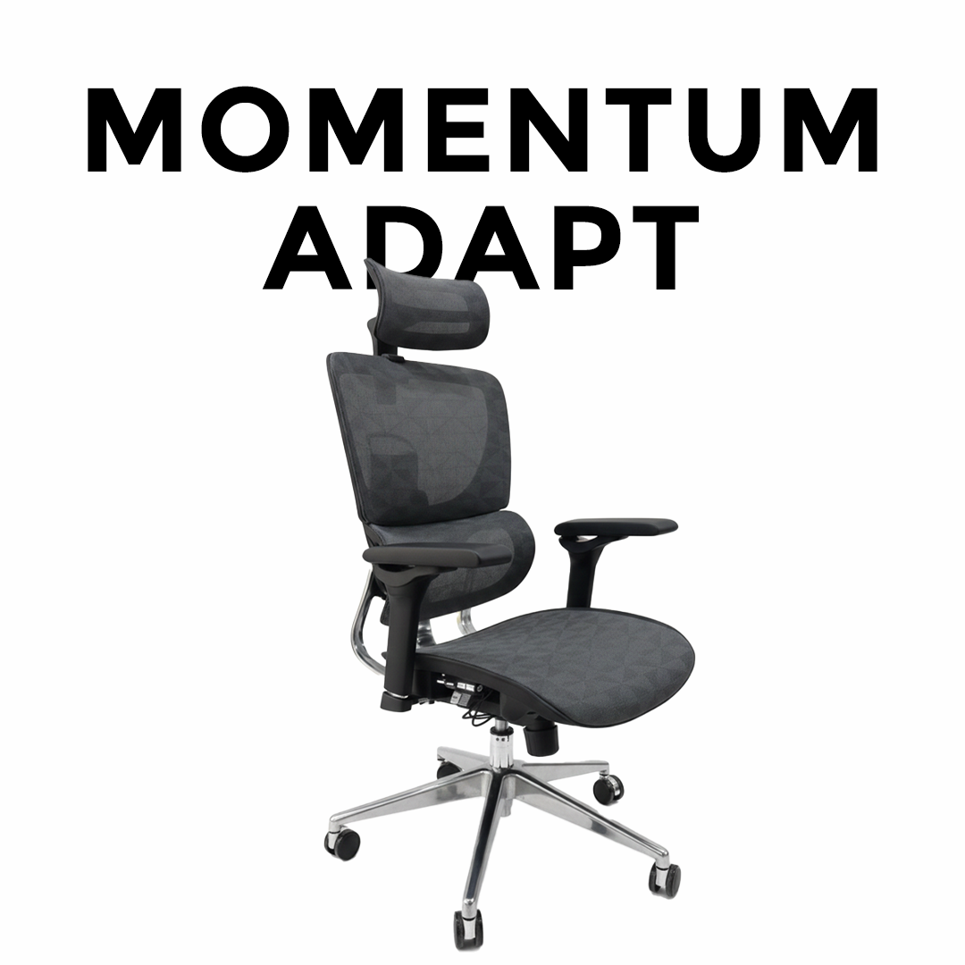 Momentum Adapt
