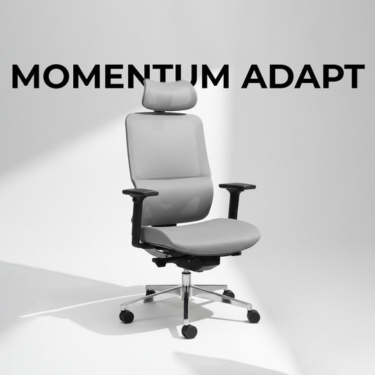 Momentum Adapt