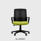 تيرا فلو